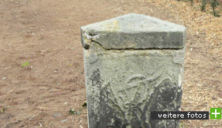 weitere fotos ansehen